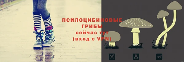 меф Арсеньев